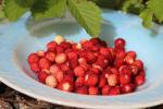 1623053164_Walderdbeeren.jpg